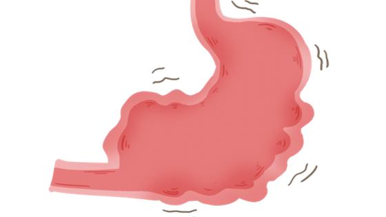 “胃真的會越撐越大，越餓越小？”告訴你事實真相，別再繞彎路了