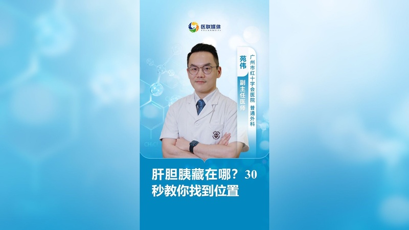 肝胆胰藏在哪？30秒教你找到位置