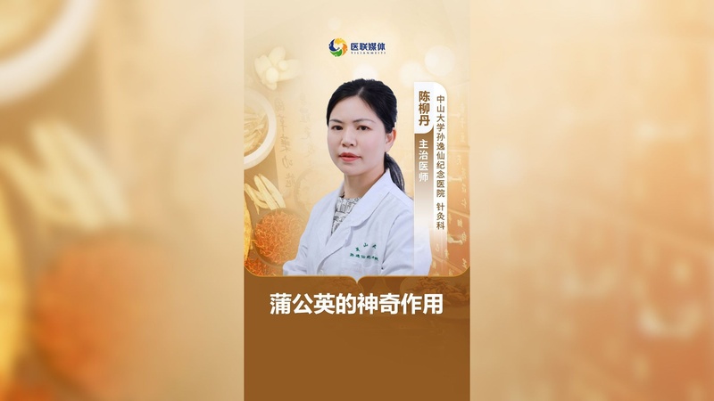 蒲公英的神奇作用