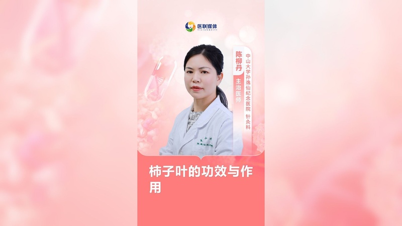 柿子叶的功效与作用