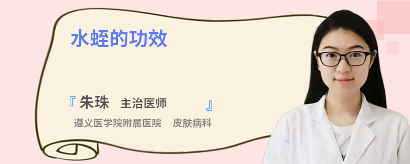 水蛭的功效