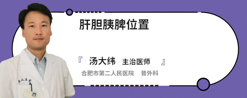 肝胆胰脾位置