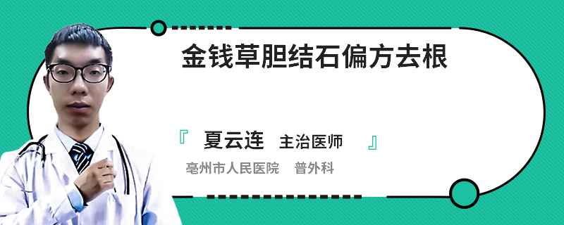 金錢草膽結(jié)石偏方去根
