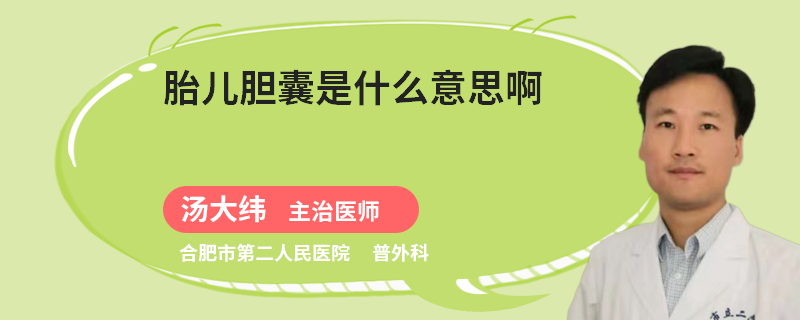 胎儿胆囊是什么意思啊