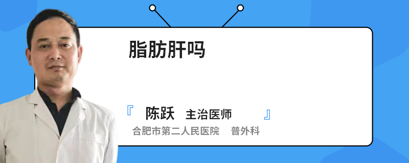 脂肪肝嗎