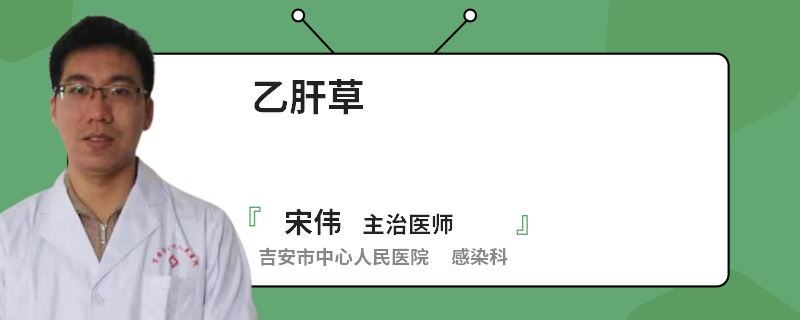 乙肝草