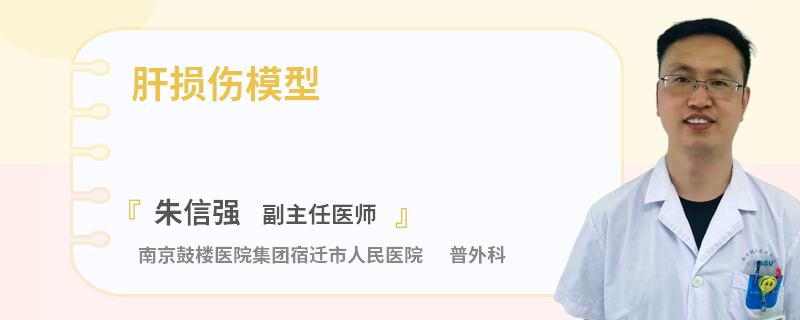 肝損傷模型