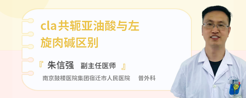 cla共轭亚油酸与左旋肉碱区别