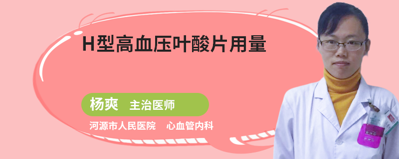 H型高血壓葉酸片用量