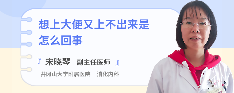 想上大便又上不出來是怎么回事