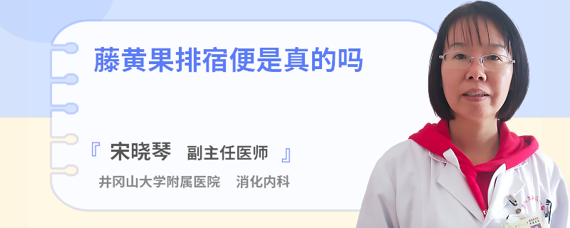 藤黃果排宿便是真的嗎
