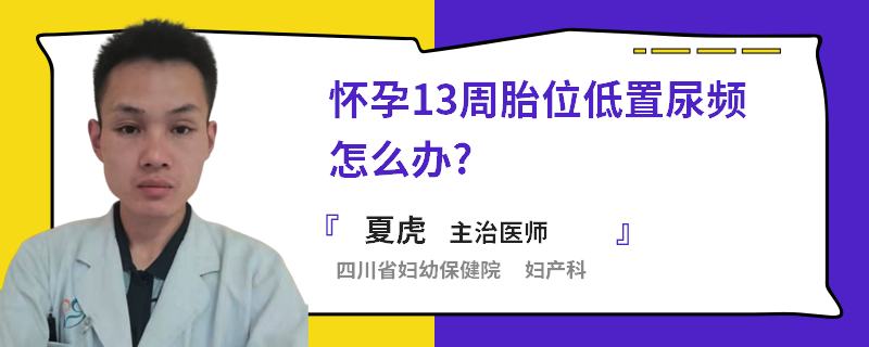 怀孕13周胎位低置尿频怎么办?