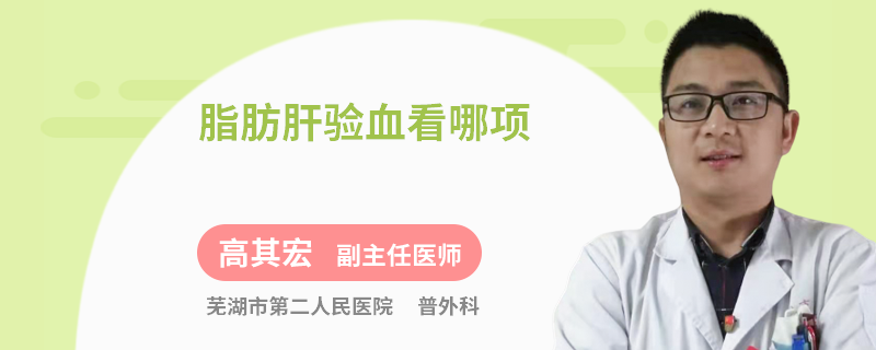 脂肪肝验血看哪项