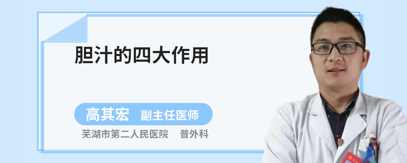 膽汁的四大作用