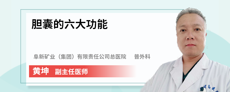 胆囊的六大功能