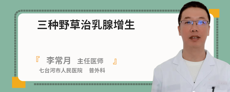 三種野草治乳腺增生