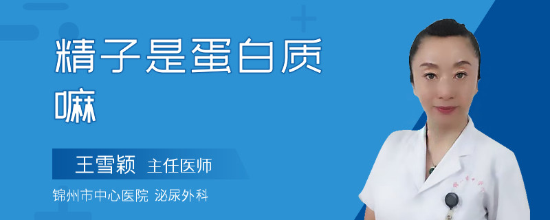 精子是蛋白質(zhì)嘛