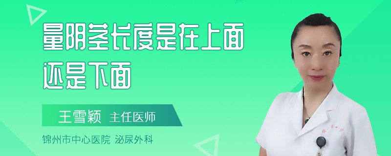量陰莖長度是在上面還是下面