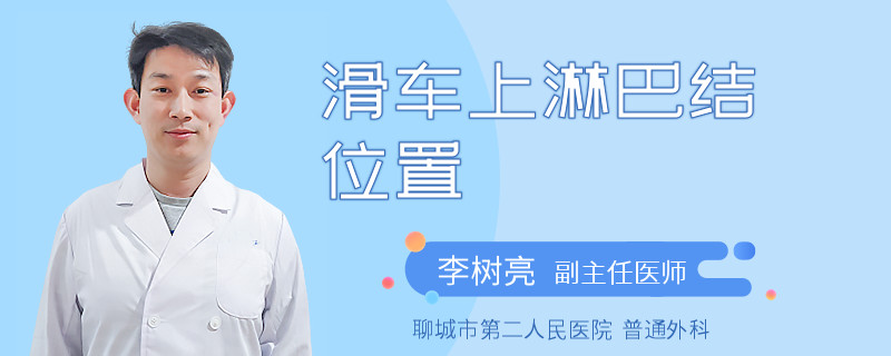 滑车上淋巴结位置