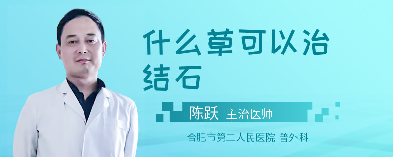 什么草可以治结石