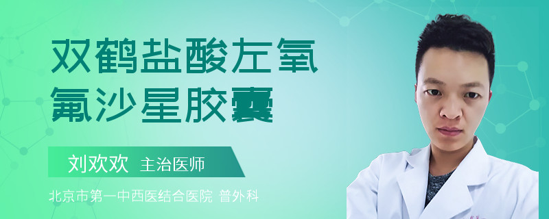 双鹤盐酸左氧氟沙星胶囊