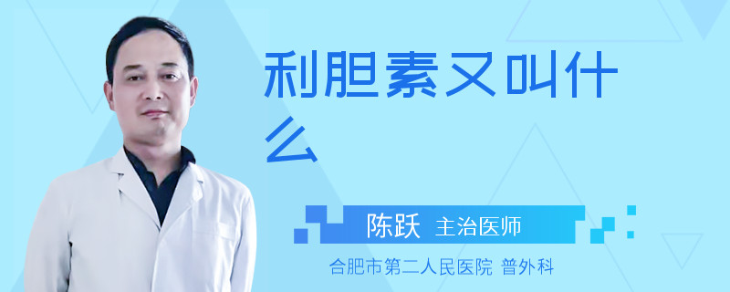 利胆素又叫什么