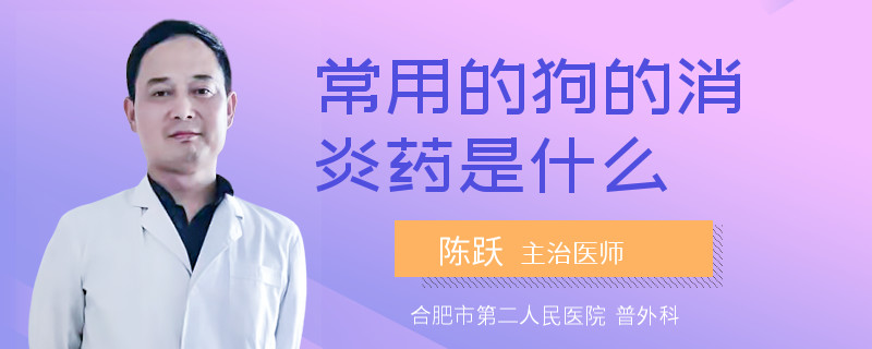 常用的狗的消炎药是什么