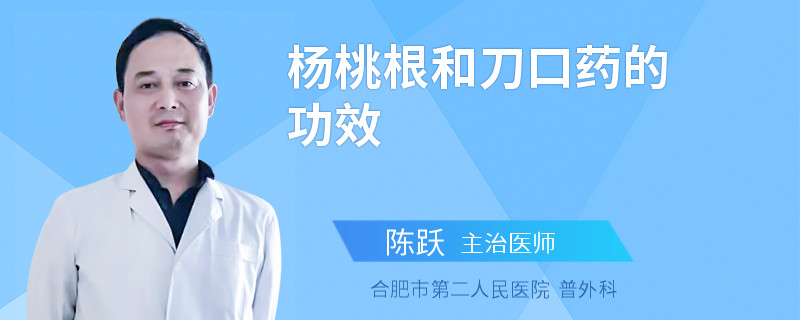 楊桃根和刀口藥的功效