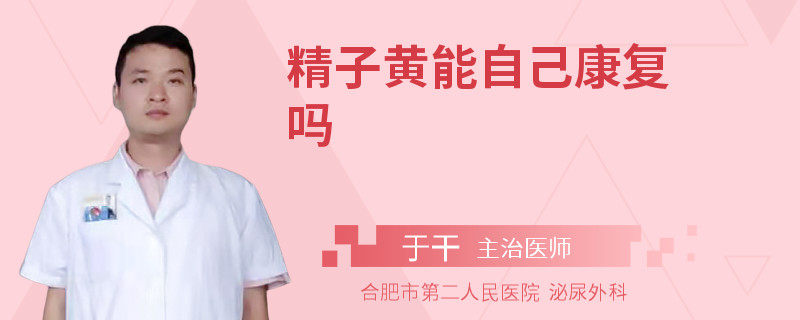 精子黃能自己康復(fù)嗎