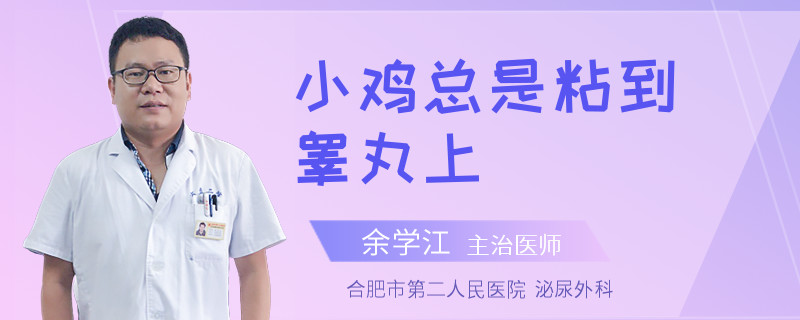 小雞總是粘到睪丸上