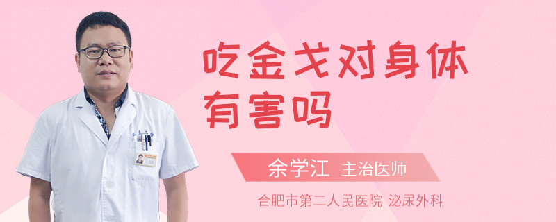 吃金戈對身體有害嗎