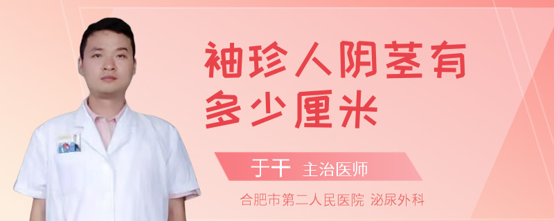 袖珍人陰莖有多少厘米