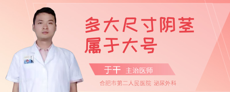 多大尺寸陰莖屬于大號