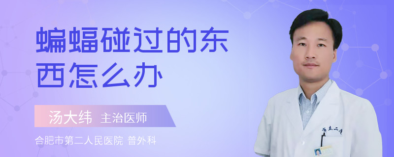 蝙蝠碰过的东西怎么办