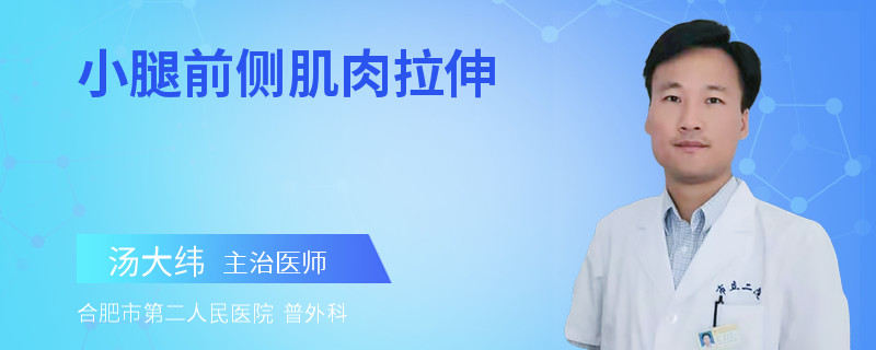 小腿前侧肌肉拉伸