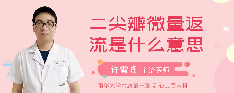 二尖瓣微量返流是什么意思
