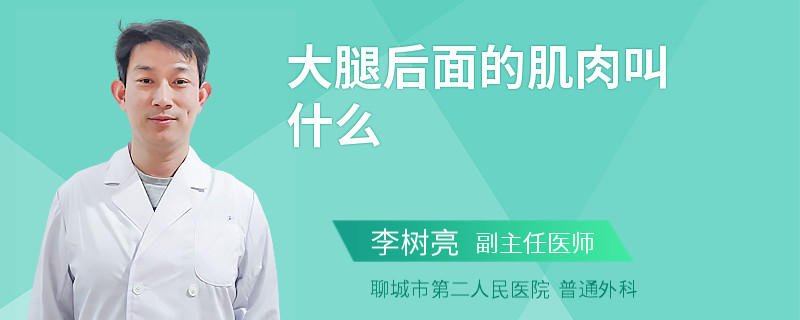 大腿后面的肌肉叫什么