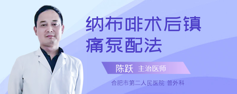 纳布啡术后镇痛泵配法