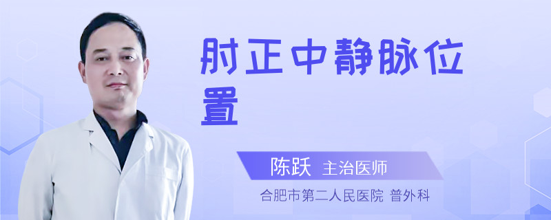 肘正中静脉位置