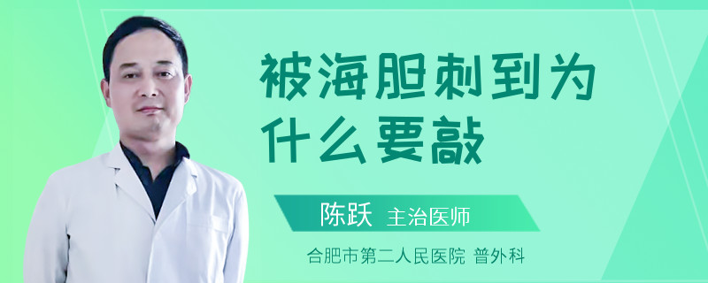 被海胆刺到为什么要敲