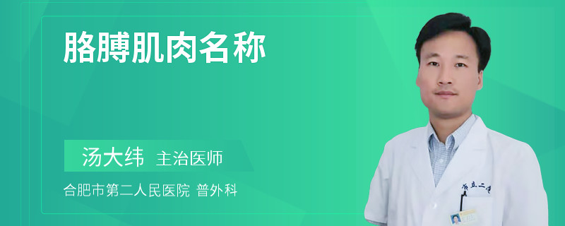 胳膊肌肉名称