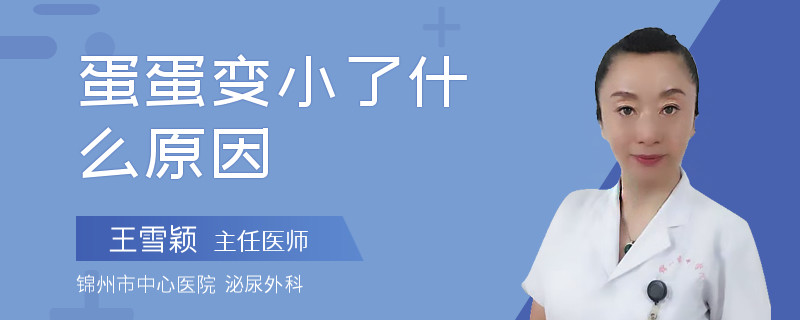 蛋蛋變小了什么原因