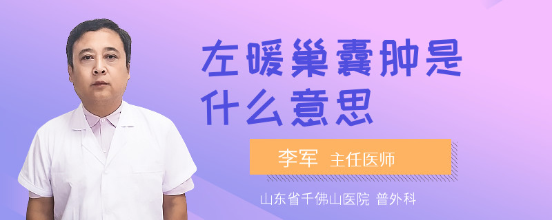 左暖巢囊肿是什么意思
