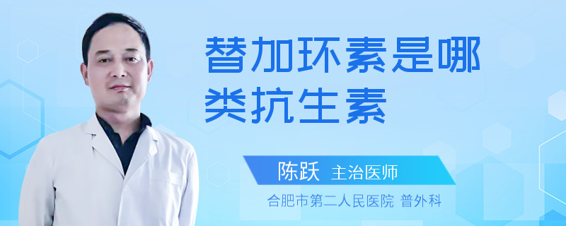 替加环素是哪类抗生素