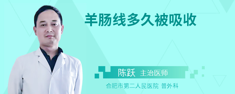 羊肠线多久被吸收