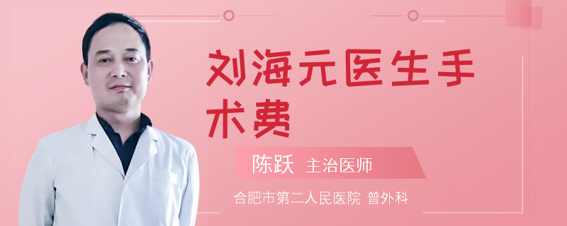 刘海元医生手术费