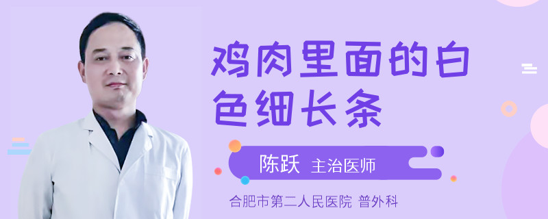 鸡肉里面的白色细长条