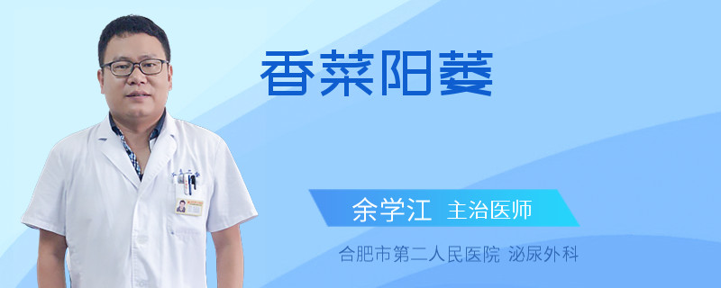 香菜陽萎