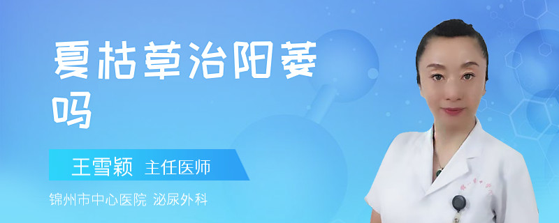夏枯草治陽萎嗎