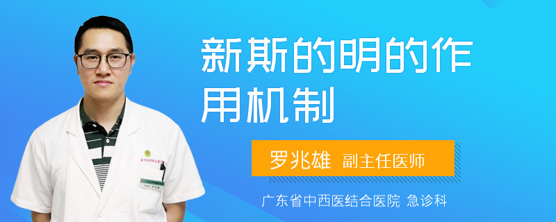 新斯的明的作用机制
